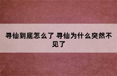 寻仙到底怎么了 寻仙为什么突然不见了